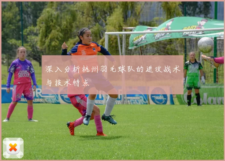 深入分析杭州羽毛球队的进攻战术与技术特点